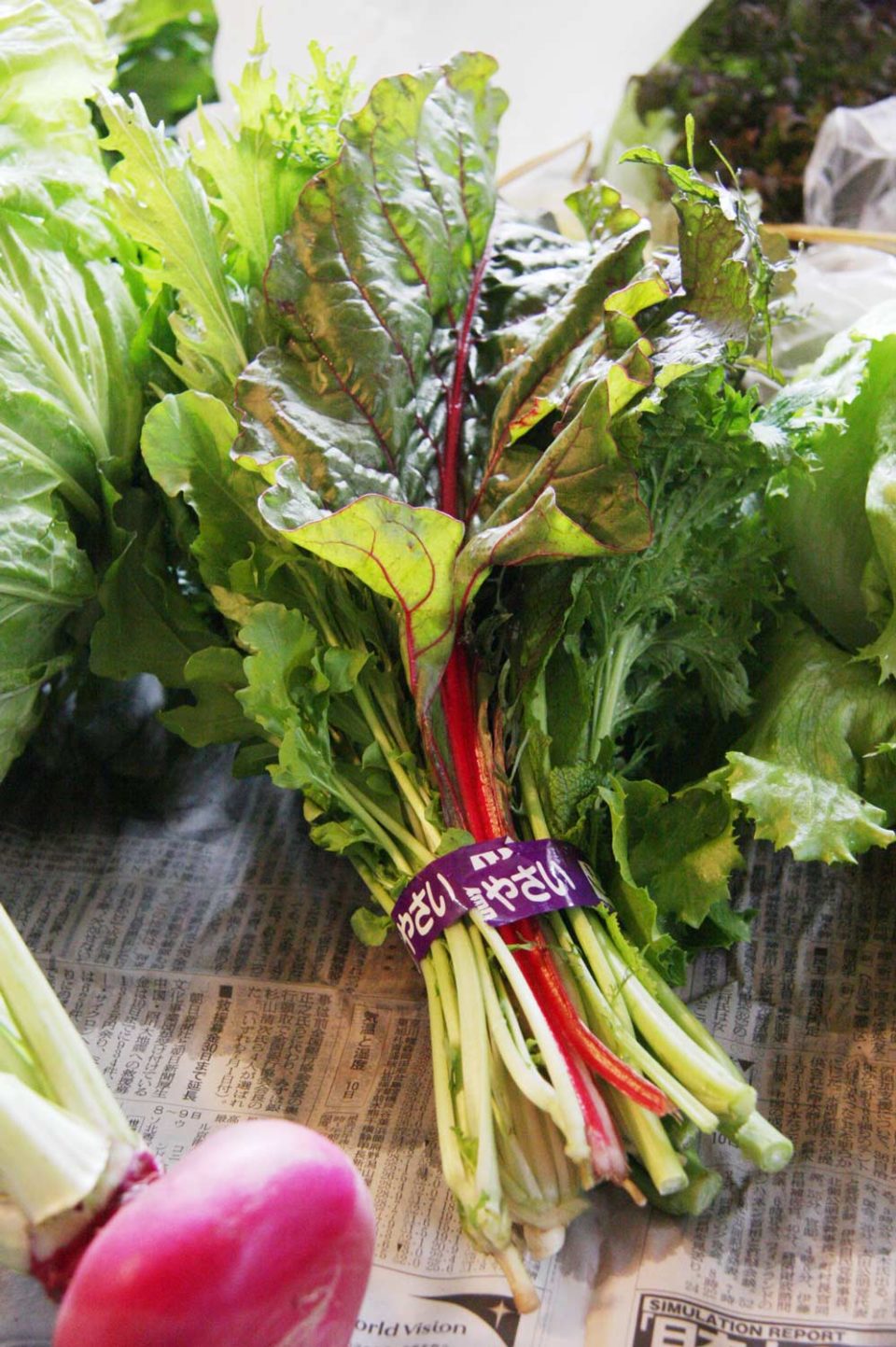 葉ものミックス