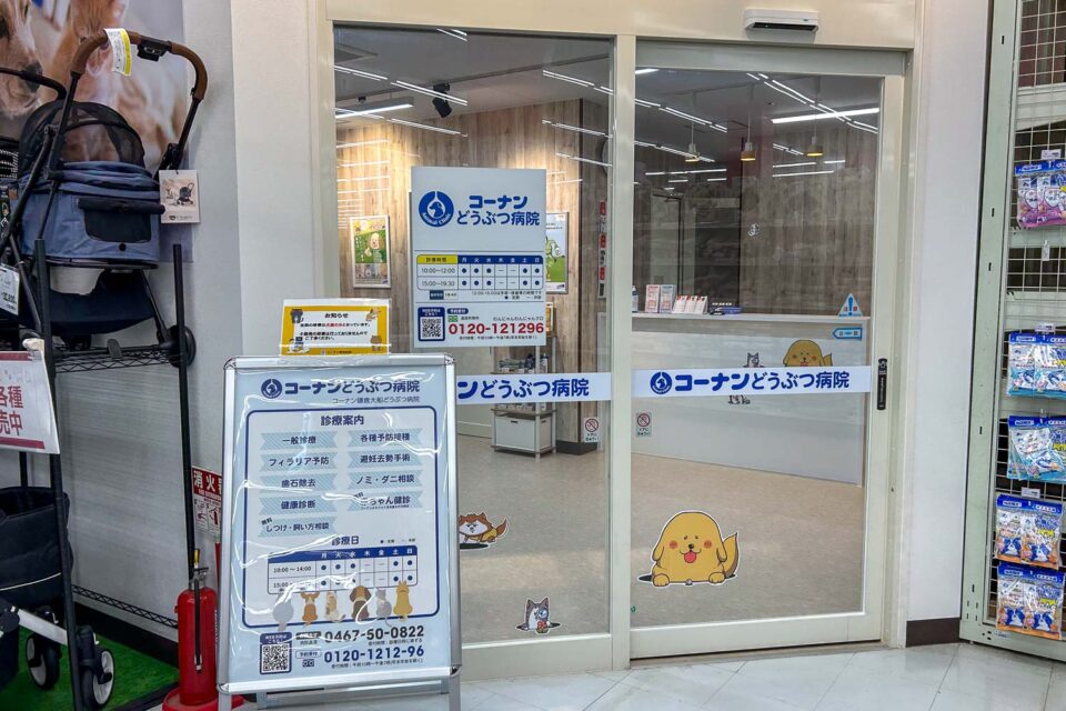 コーナン鎌倉大船どうぶつ病院