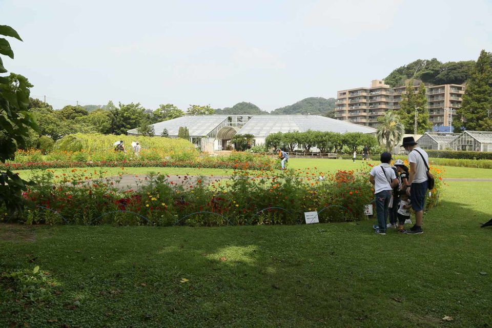 日比谷花壇大船フラワーセンター