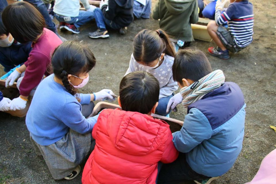 プランターにも植え付け