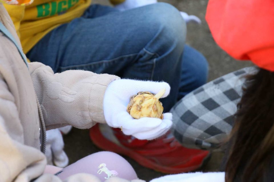 素手で触らない