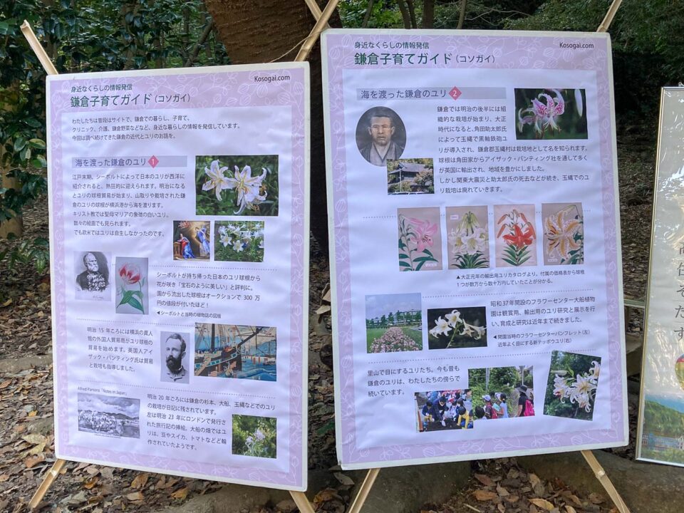 コソガイ展示パネル