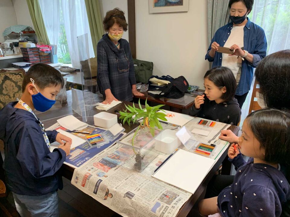 ユリの絵を描く