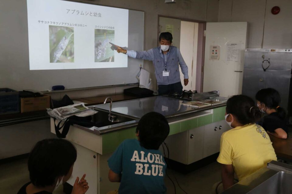 上村文次先生による蝶と虫の話