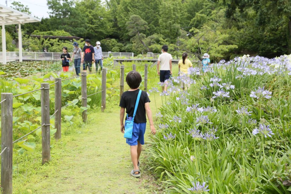 大船フラワーセンター