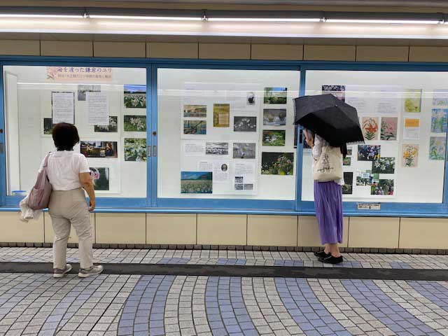 鎌倉・地下道ギャラリー ユリ展示