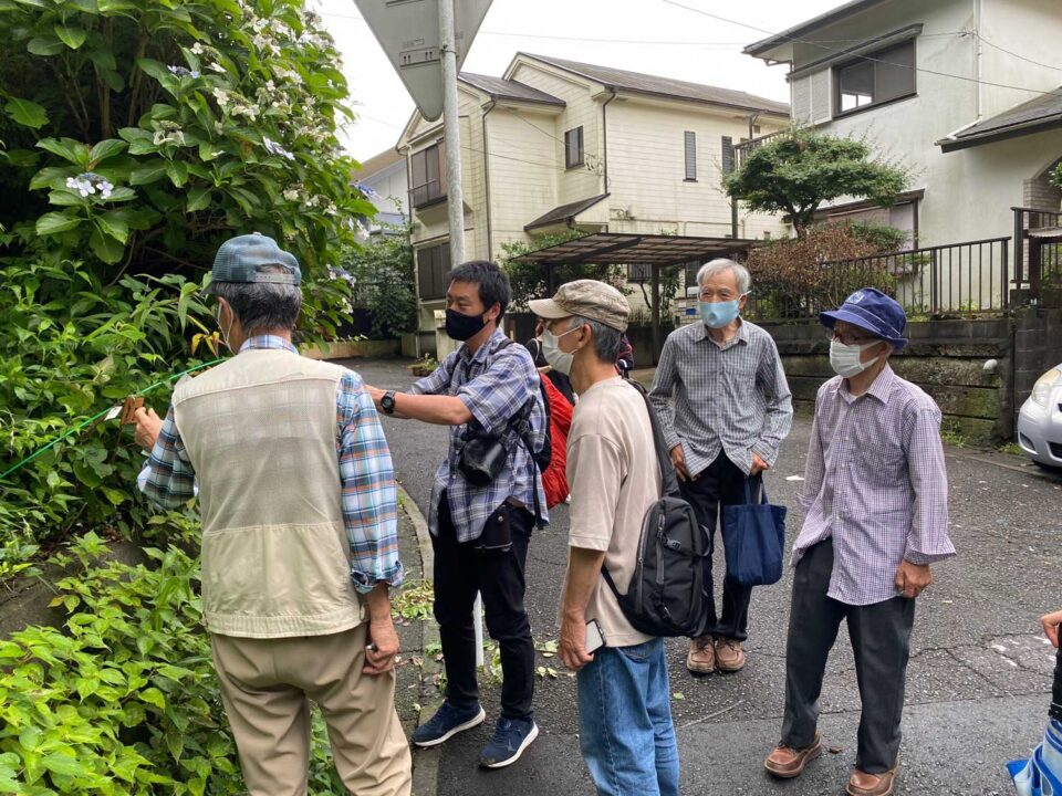 大人向けユリ講座