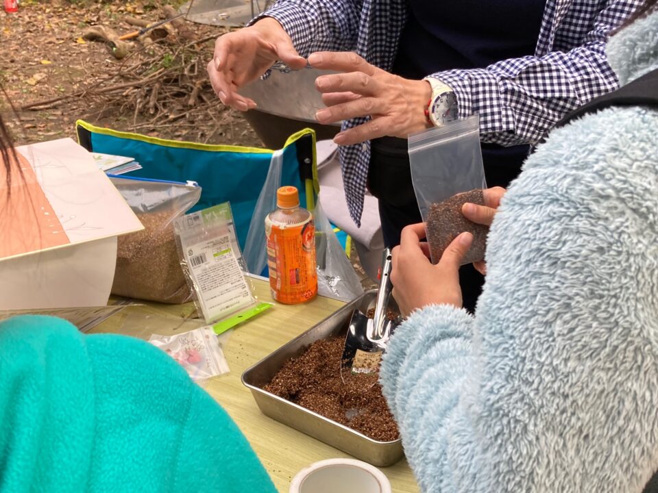 百合の種を配布