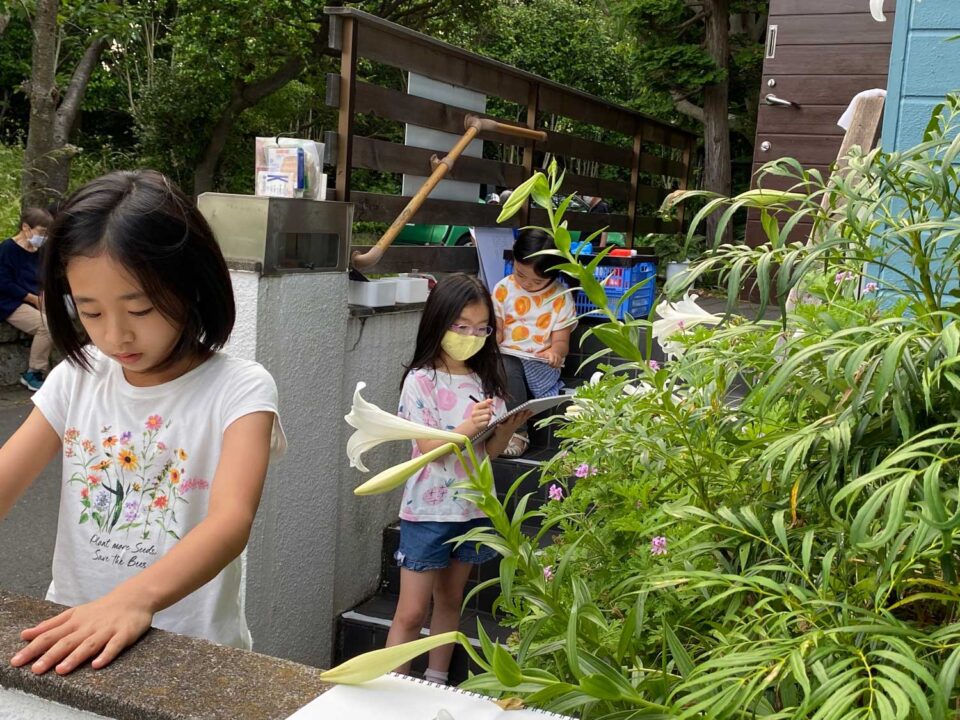 観察してスケッチ