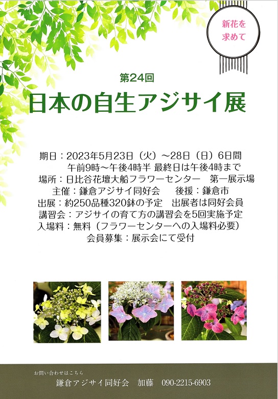 日本の自生アジサイ展チラシ