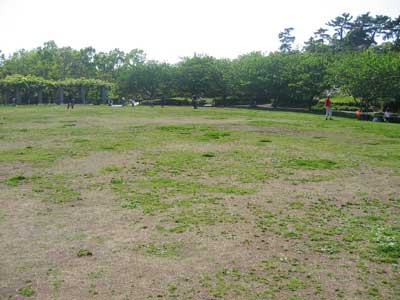 長久保公園10